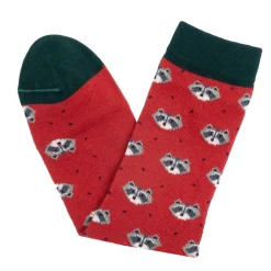 Calcetines Mapache