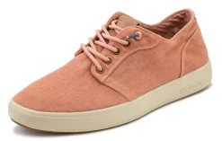 Finch