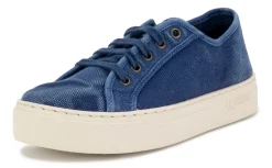 Old Gavi