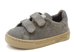Teo